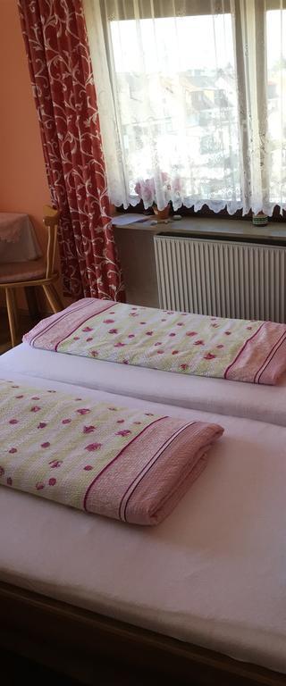 Gasthof Und Pension Mainzer Rad Schwetzingen Esterno foto